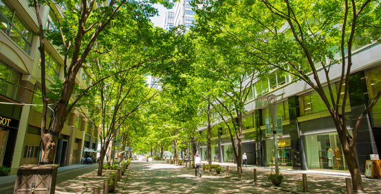 マルポ編集部のおさんぽイメージ