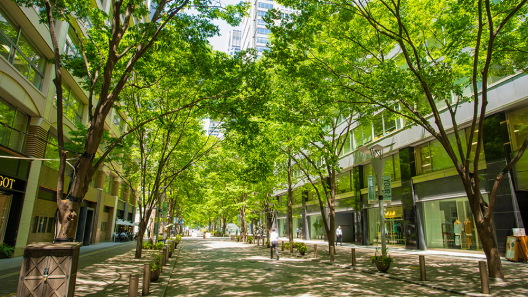 マルポ編集部のおさんぽイメージ